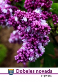 Brošūra "Dobeles novads", 32 lpp., 2018