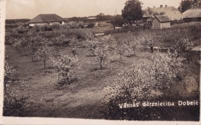 Vārnas dārzniecība