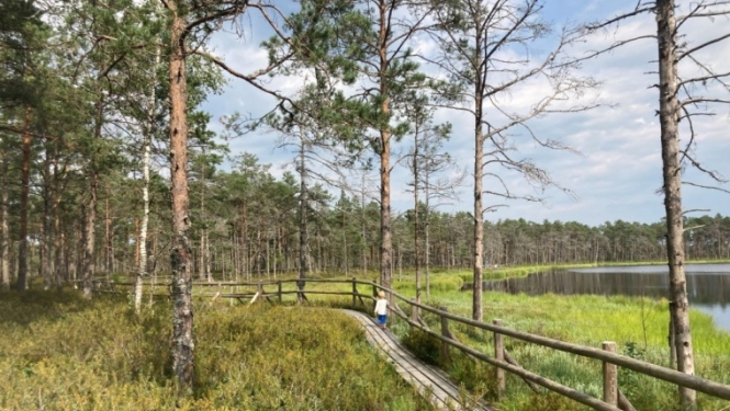 dabas takas Zemgalē