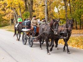 Augēnijas zirgu izjādes Tērvetē