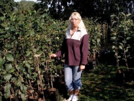 Tree Nursery "Liepas"