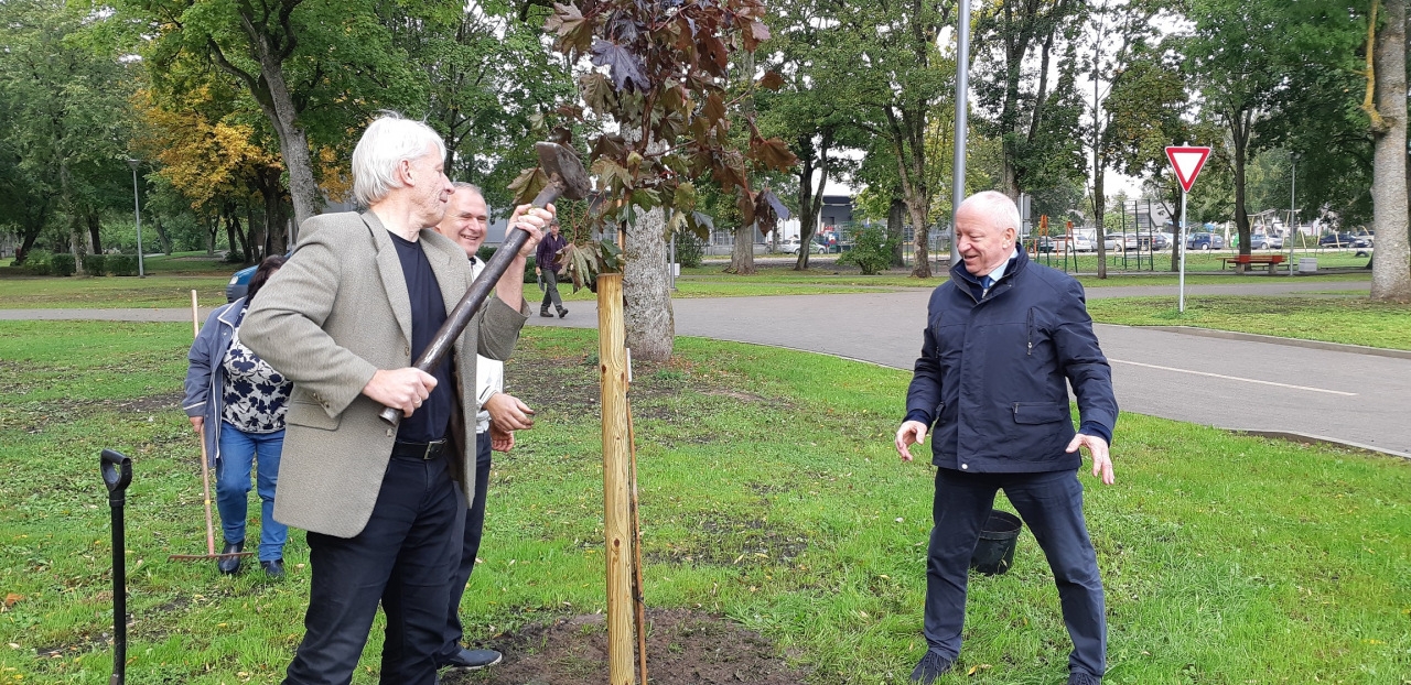 Albums Nr.2 - Dobelē pašvaldība īsteno Meža dienu projektu 25.09.2020.