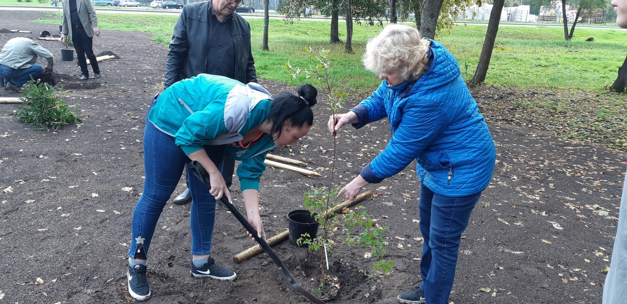 Albums Nr.2 - Dobelē pašvaldība īsteno Meža dienu projektu 25.09.2020.