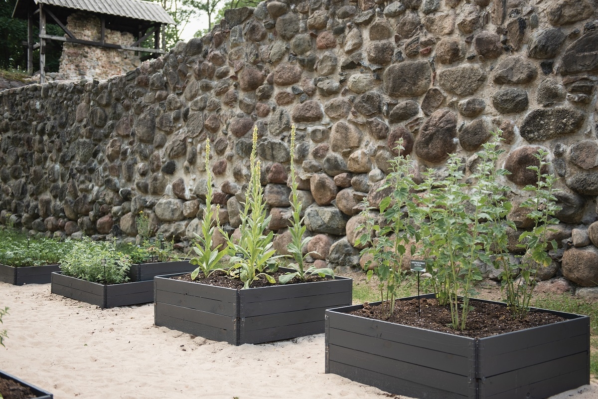 Dobeles Pils dārza svētki