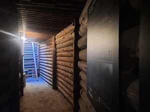 Atceres pasākums Īlē pie nacionālo partizānu bunkura