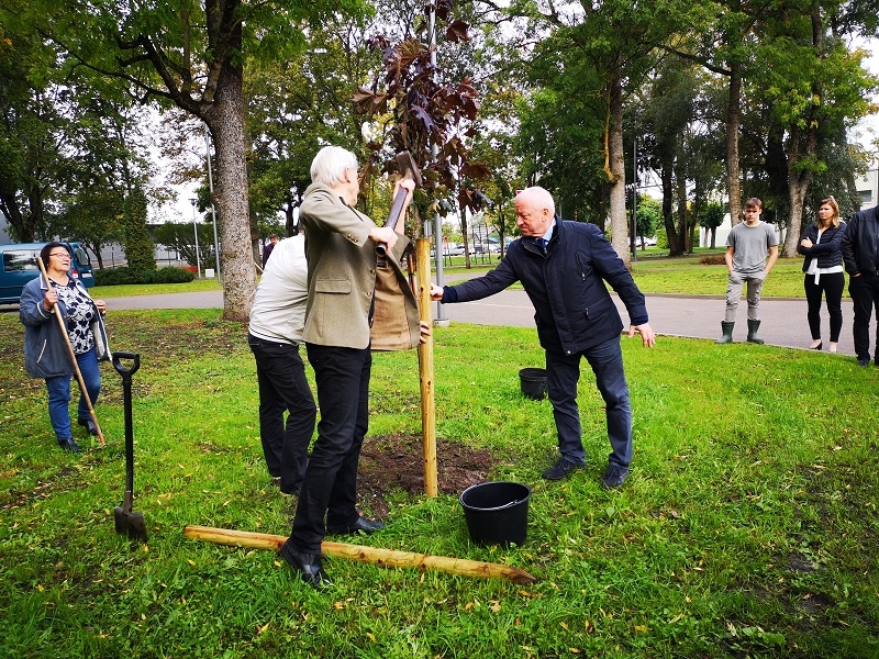 Albums Nr.1 - Dobelē pašvaldība īsteno Meža dienu projektu 25.09.2020.
