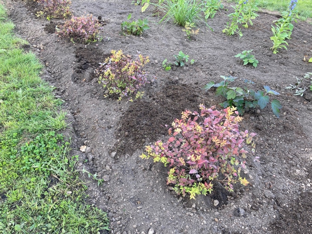 Bērzes upes krastā