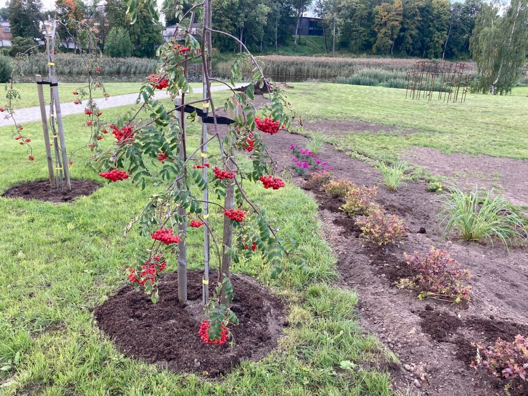 Bērzes upes krastā