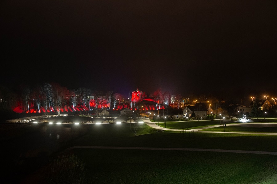 Latvijas Republikas proklamēšanas 102. gadadiena 18.11.2020. Foto G. Janševskis