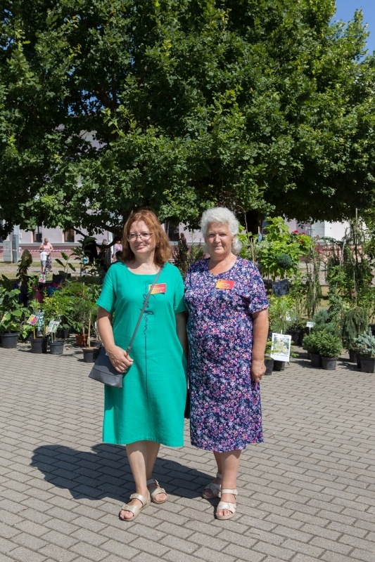 Mazie Auces pilsētas svētki