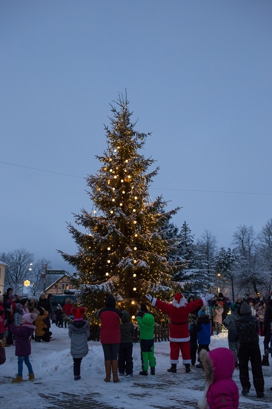 Aucē iedegta galvenā svētku egle