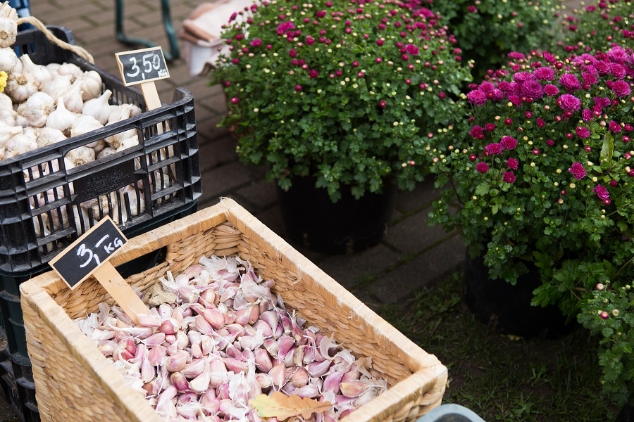 Rudens ražas svētki