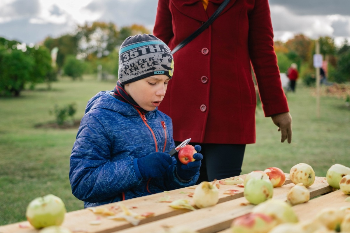 05.10.2019. Ābolu svētki Dobelē. Foto: Renāte Rapša