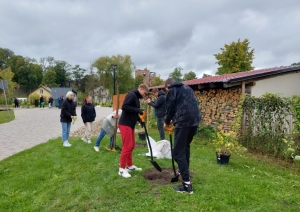 Pļavas ielas terasē stādām kokus un dekoratīvos krūmus