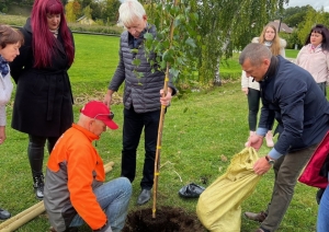 Pļavas ielas terasē stādām kokus un dekoratīvos krūmus