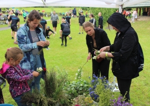 Dobeles novada deju kolektīvu ielīgošanas sadancis Tērvetē