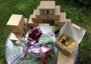 Mazā Novadnieka godā iecelti Augstkalnes, Bukaišu un Tērvetes mazuļi