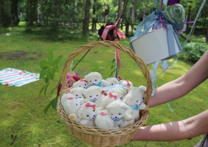 Mazā Novadnieka godā iecelti Augstkalnes, Bukaišu un Tērvetes mazuļi