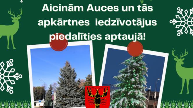 egles_aptaujai_auce_2022.png